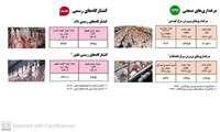 مرغداری های صنعتی در سال 1399- کشتارگاههای رسمی